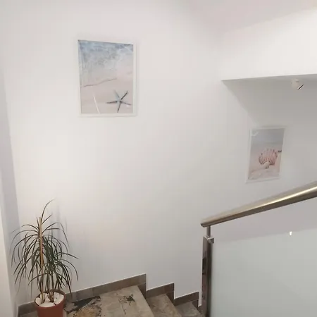 Pes Na Area Fisterra 01 San Martín de Arriba