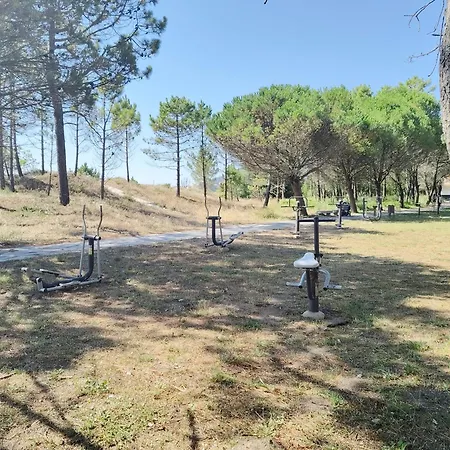 Pes Na Area Fisterra 01 San Martín de Arriba